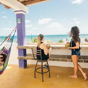 The Mermaid Beach (adults Only) Hostel Cancun